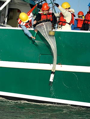 Taking water sediment samples